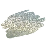 CAT54 Pistachio Dream Cat Eye Ultra Low+ Gel Polish 20ml