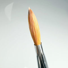 ‘THE’ Brush Size 14  TB14