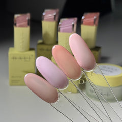 The Perfect French Collection HEMA FREE