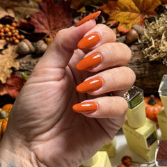 Autumn Forest Collection HEMA Free