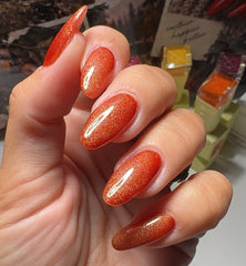 Autumn Forest Collection HEMA Free