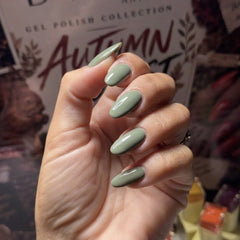 Autumn Forest Collection HEMA Free