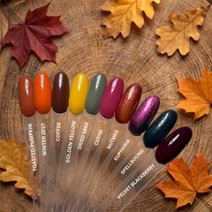 Autumn Forest Collection HEMA Free